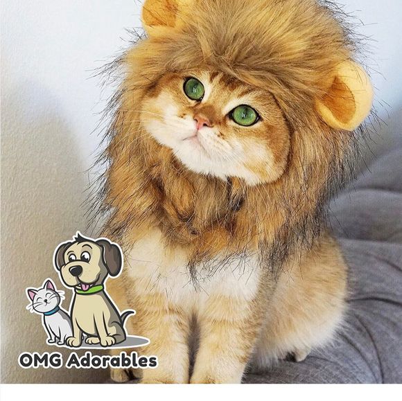 Meet your Posher, Luci - Picture 1 of 1